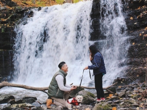 engagement waterfall