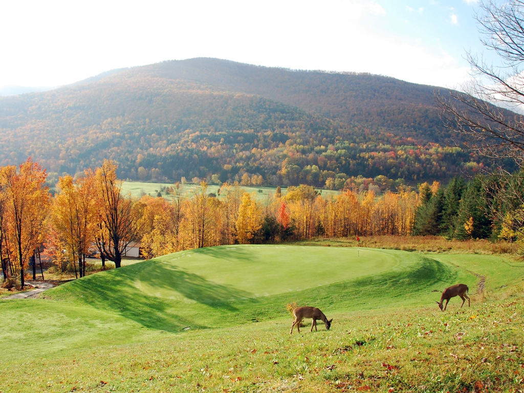 Sunny Hill Resort & Golf Course Great Northern Catskills of Greene County