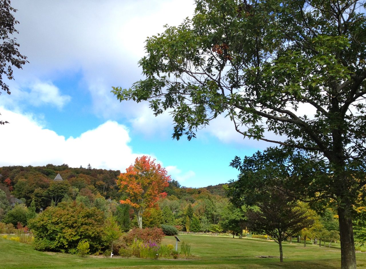 Mountain Top Arboretum | Great Northern Catskills of Greene County