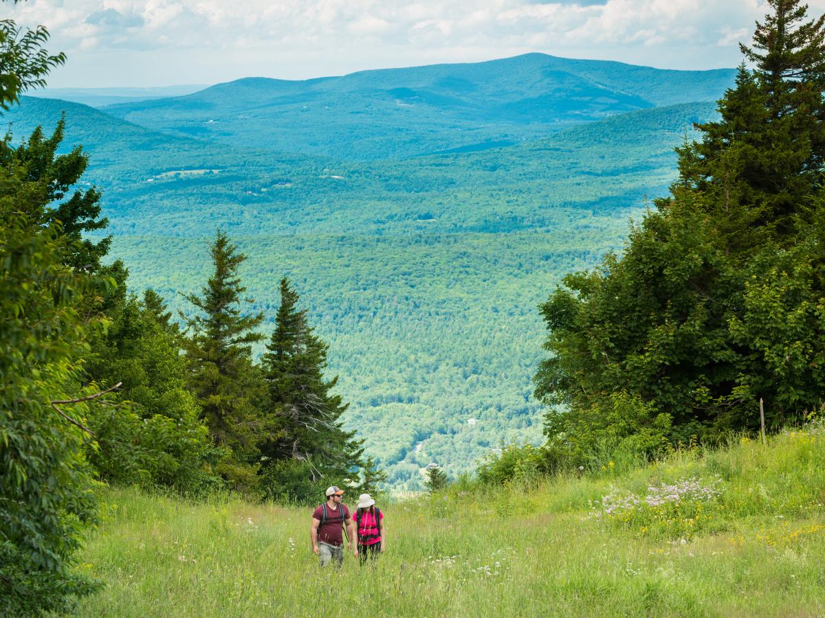 Scenic Tree Lined Country Road In The Catskill Mountains Of