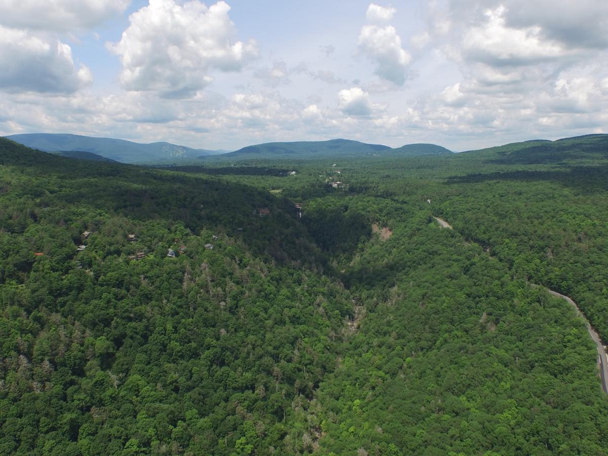 Summer in the Catskills  Great Northern Catskills of Greene County