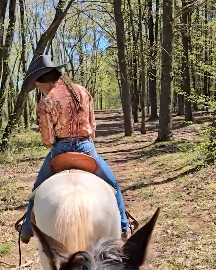 Bailiwick Animal Park & Riding Stables | Great Northern Catskills of ...