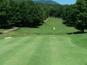Blackhead Mountain Lodge & Country Club greens