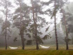 Woodhouse Lodge hammocks