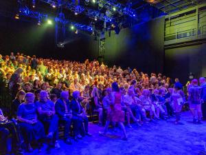 Audience at a Performance