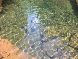 the crystal clear water at Purling waters