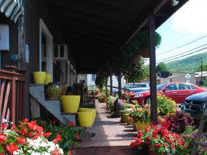 Catskill Mtn Country Store