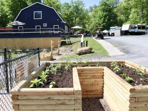 raised vegetable garden beds at Treetopia