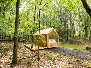 Gather Greene Glamping cabin in Coxsackie, NY