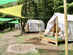 row of canvas glamping tents at Treetopia