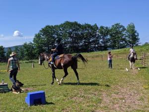 Mountain brook Farm