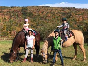 Mountain brook Farm