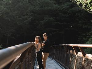 Viewing platform walk