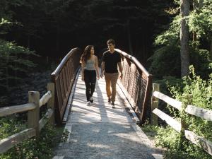 Viewing platform bridge