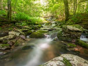 stream at platte clove