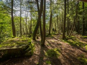 platte clove trail