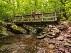 platte clove bridge 