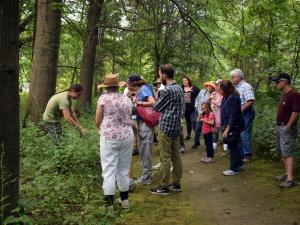 guided walk 