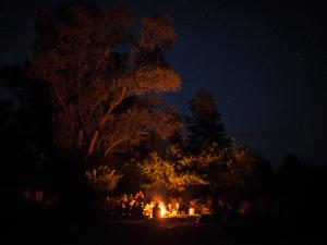 campfire at night