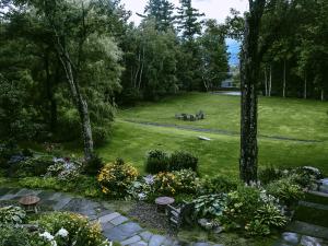 Landscaping Overlooking the Manicured Lawn