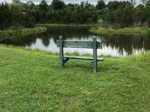 bench and pond