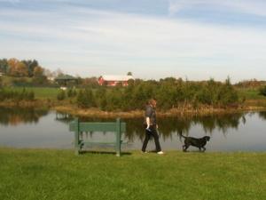 person with dog and pond