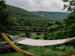 hammock