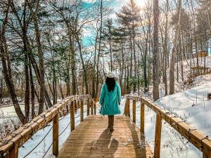 walking bridge in winter