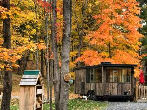 fall tiny home