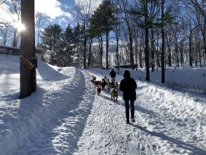 walking with goats winter