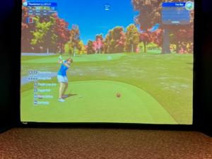 golf simulator