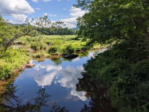 Creek at the Windham Path