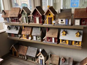 bird houses in room 72