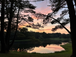 sunset over pond