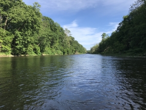 creek in the spring