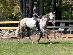 man on horse