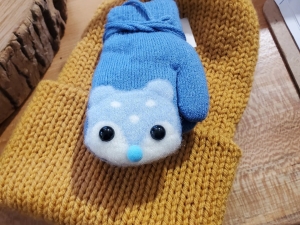Hat and a mitten