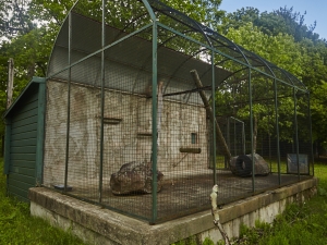 empty cages