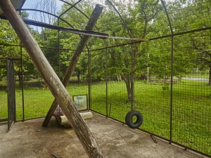 empty cage