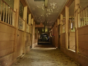 horse stables