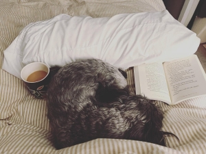 Read and Read Again