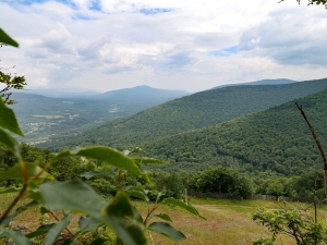 summer in the mountains