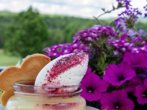 summer desert