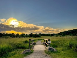 bridge