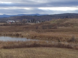 Greene Land Trust