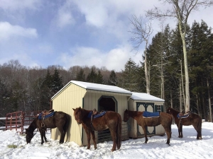 Winter-horseback-riding-upstate-ny