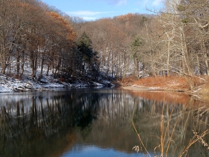 Greene Land Trust