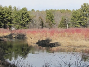 Greene Land Trust
