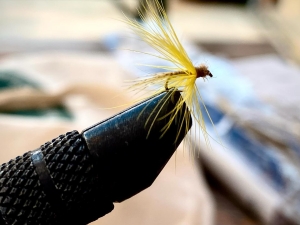 Usually Unusual Fly Fishing Adventure