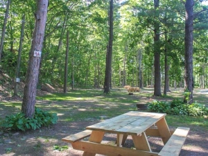 Whip-O-Will Campsites